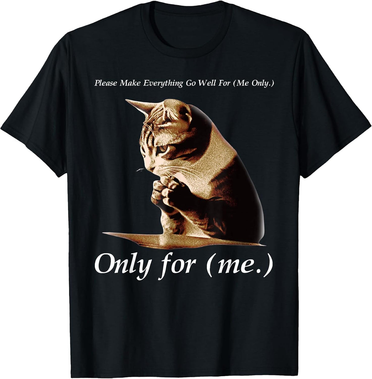 Funny Cat Please Make Everything Go Well for Me Only for Me T-Shirt - Black