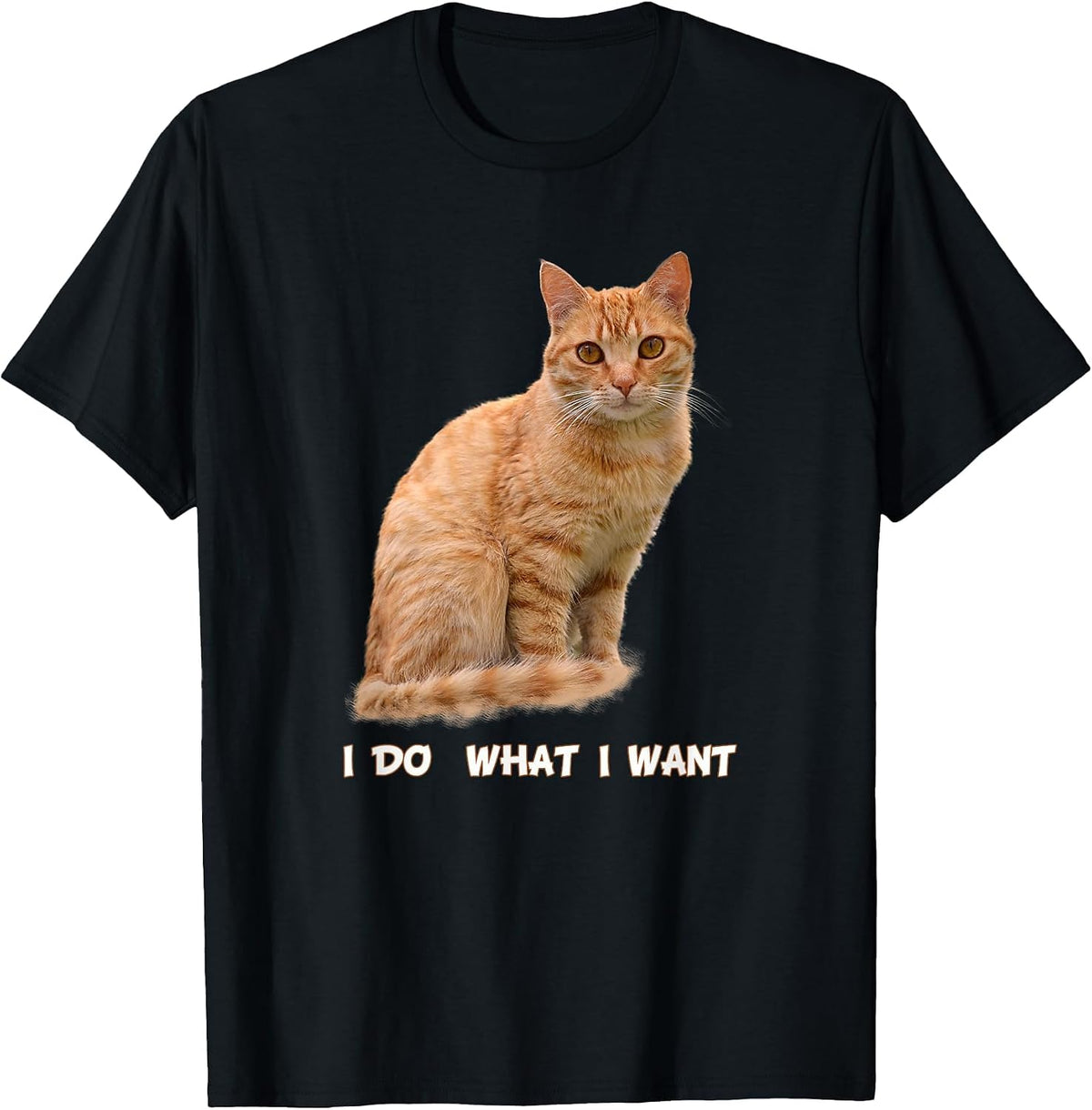 I Make What I Want Funny Orange Tabby Cat Lovers T-Shirt - Black