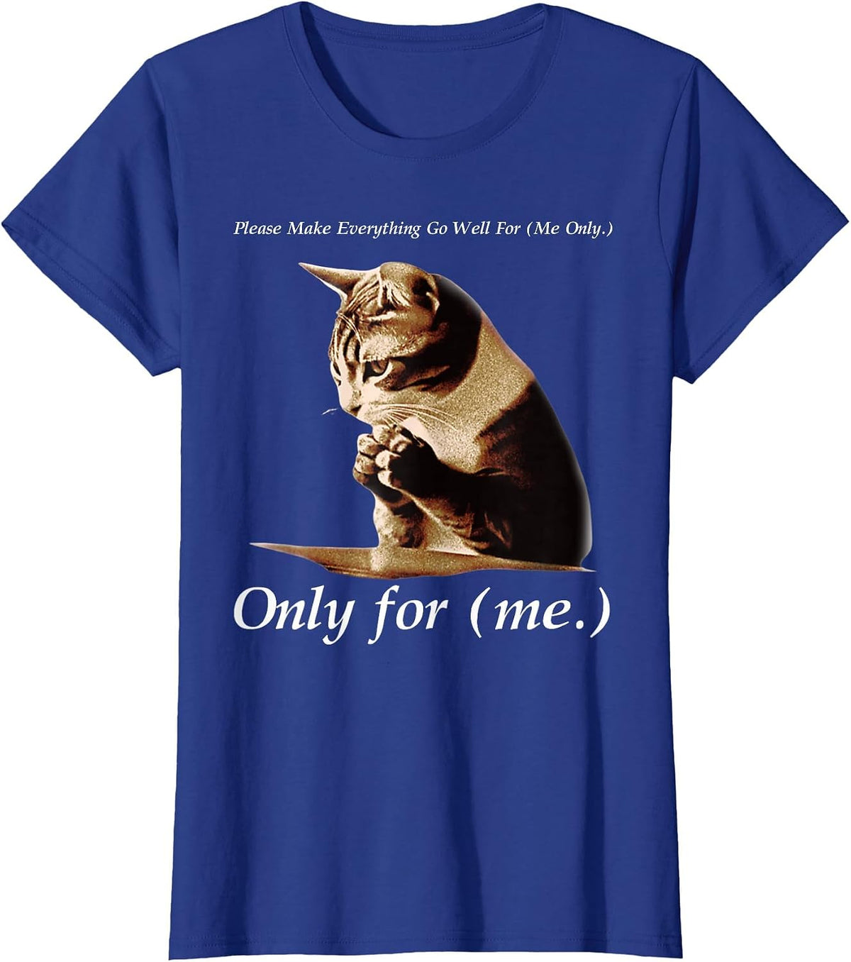 Funny Cat Please Make Everything Go Well for Me Only for Me T-Shirt - Royal Blue