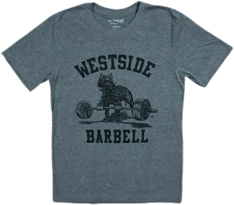 Westside Barbell Men's Original Gym T-Shirt - Gray