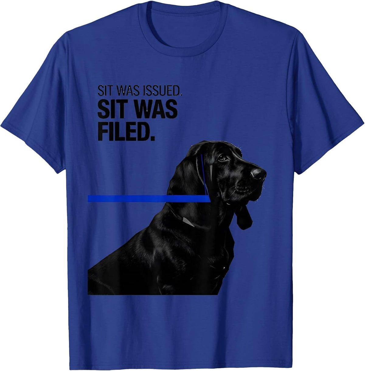Sit Was Issued Sit Was Filed Funny Basset Hound Dog Lover T-Shirt - Royal Blue
