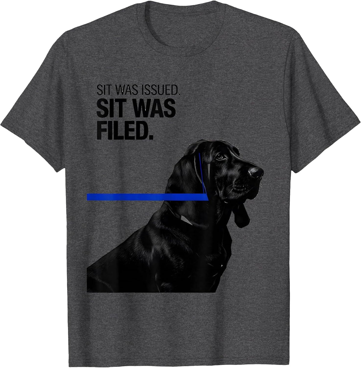 Sit Was Issued Sit Was Filed Funny Basset Hound Dog Lover T-Shirt - Dark Heather Grey