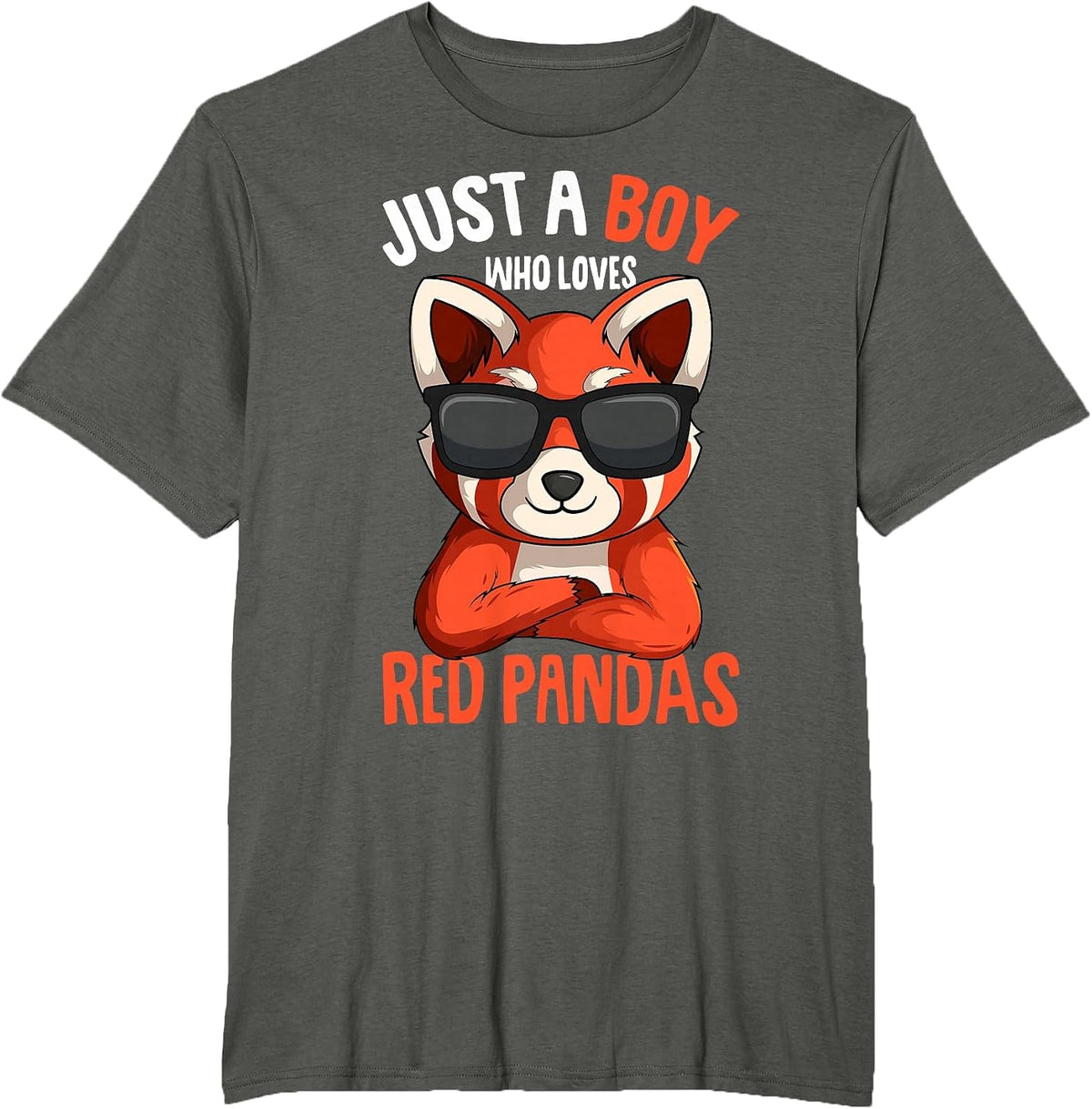 Just a Boy who Loves Red Pandas T-Shirt - Asphalt Grey