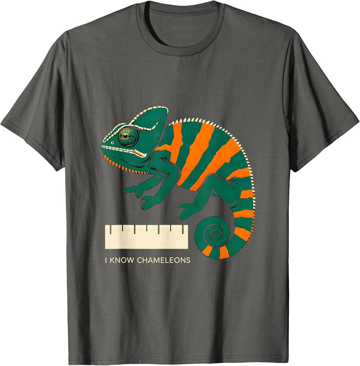 Men's I Know Chameleons Stencil Reptile Enthusiast Herpetology T-Shirt - Asphalt Grey