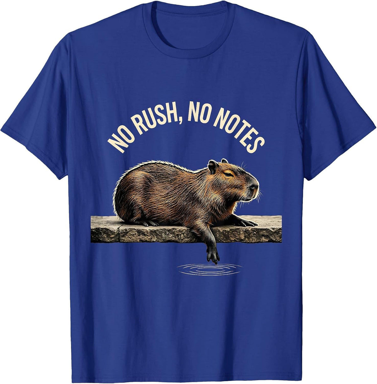 No Rush No Notes Funny Capybara Meme Animal Lover Humor T-Shirt - Royal Blue