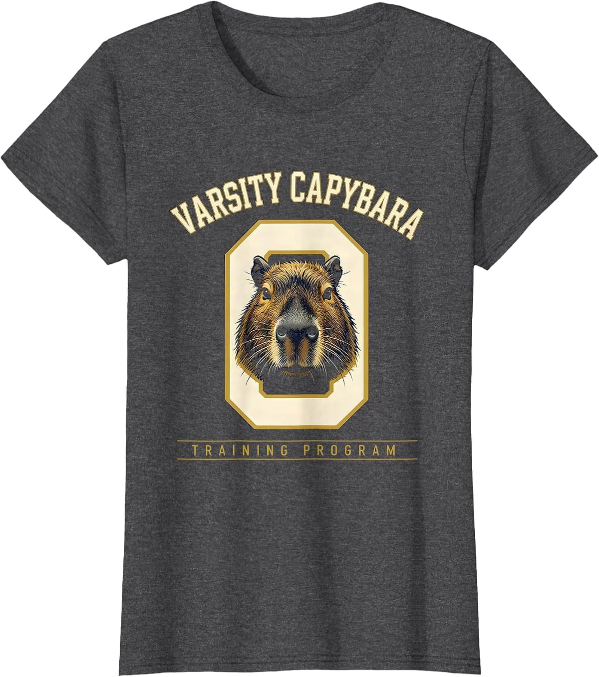 Women's Varsity Capybara Training Program Funny Animal Meme Gamer T-Shirt - Dark Heather Grey