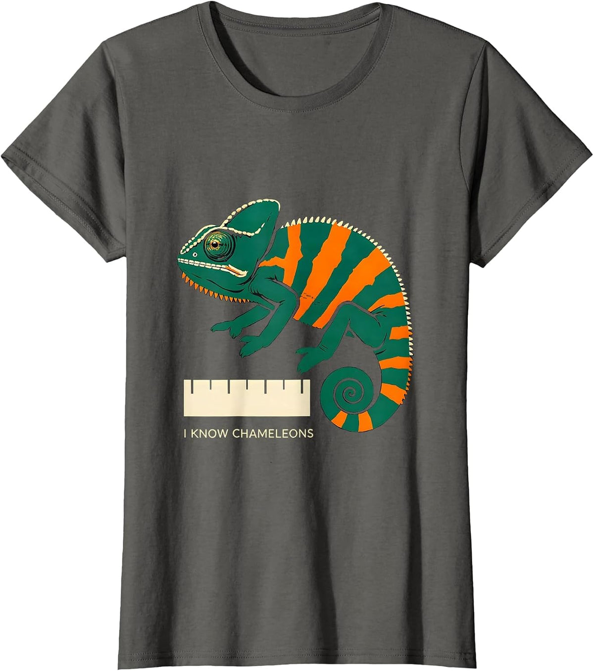Women's I Know Chameleons Stencil Reptile Enthusiast Herpetology T-Shirt - Asphalt Grey