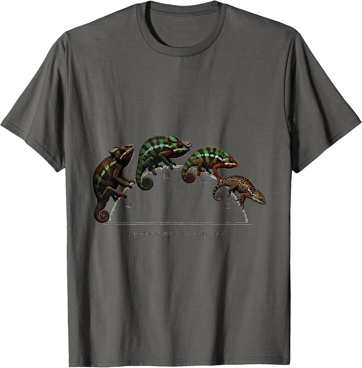 Chameleon Species I Know By Heart Whimsical Fantasy Reptile T-Shirt - Asphalt Grey