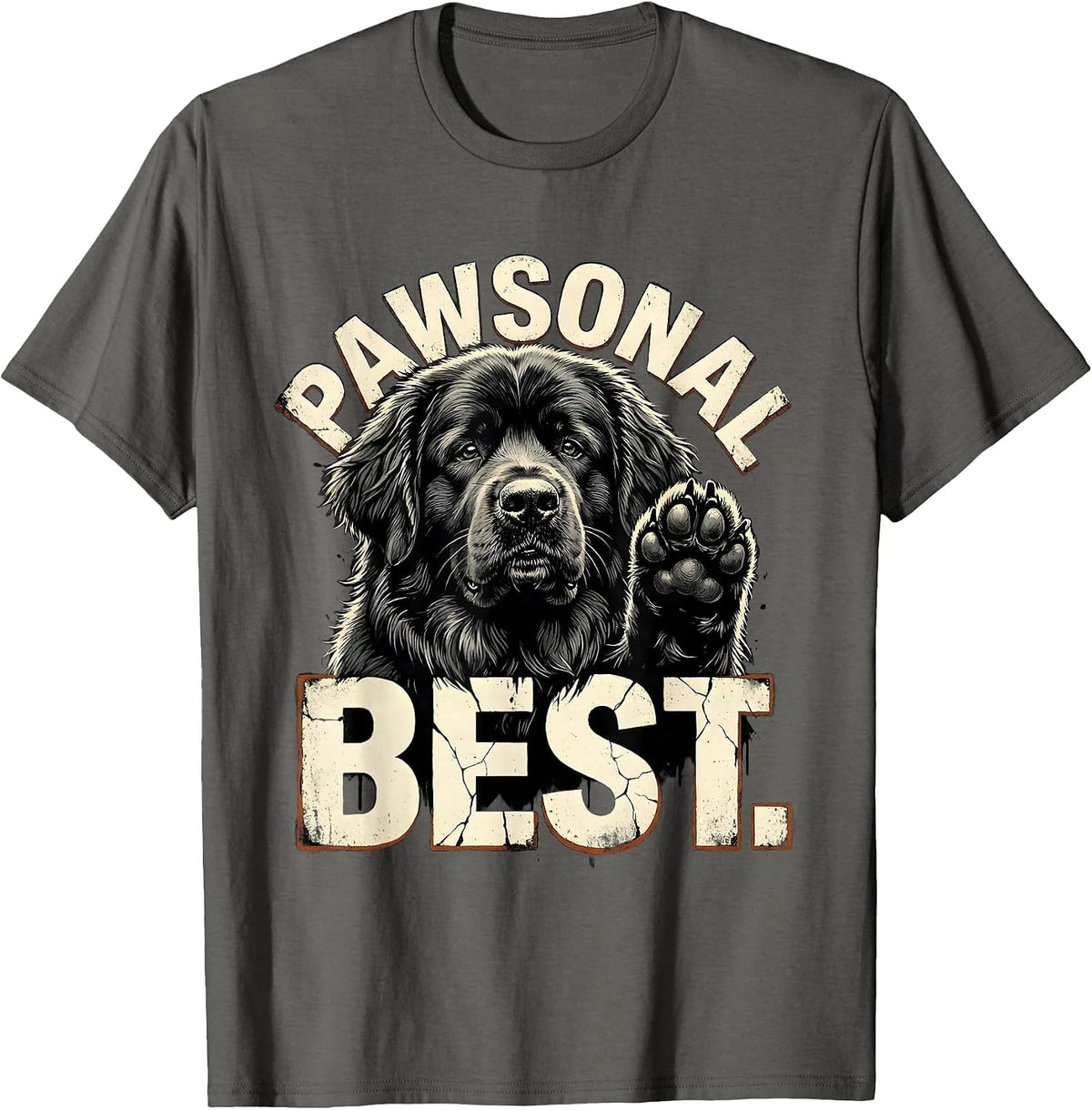 Men's Pawsonal Best Distressed Funny Dog Owner Internet Meme Humor T-Shirt - Asphalt Grey