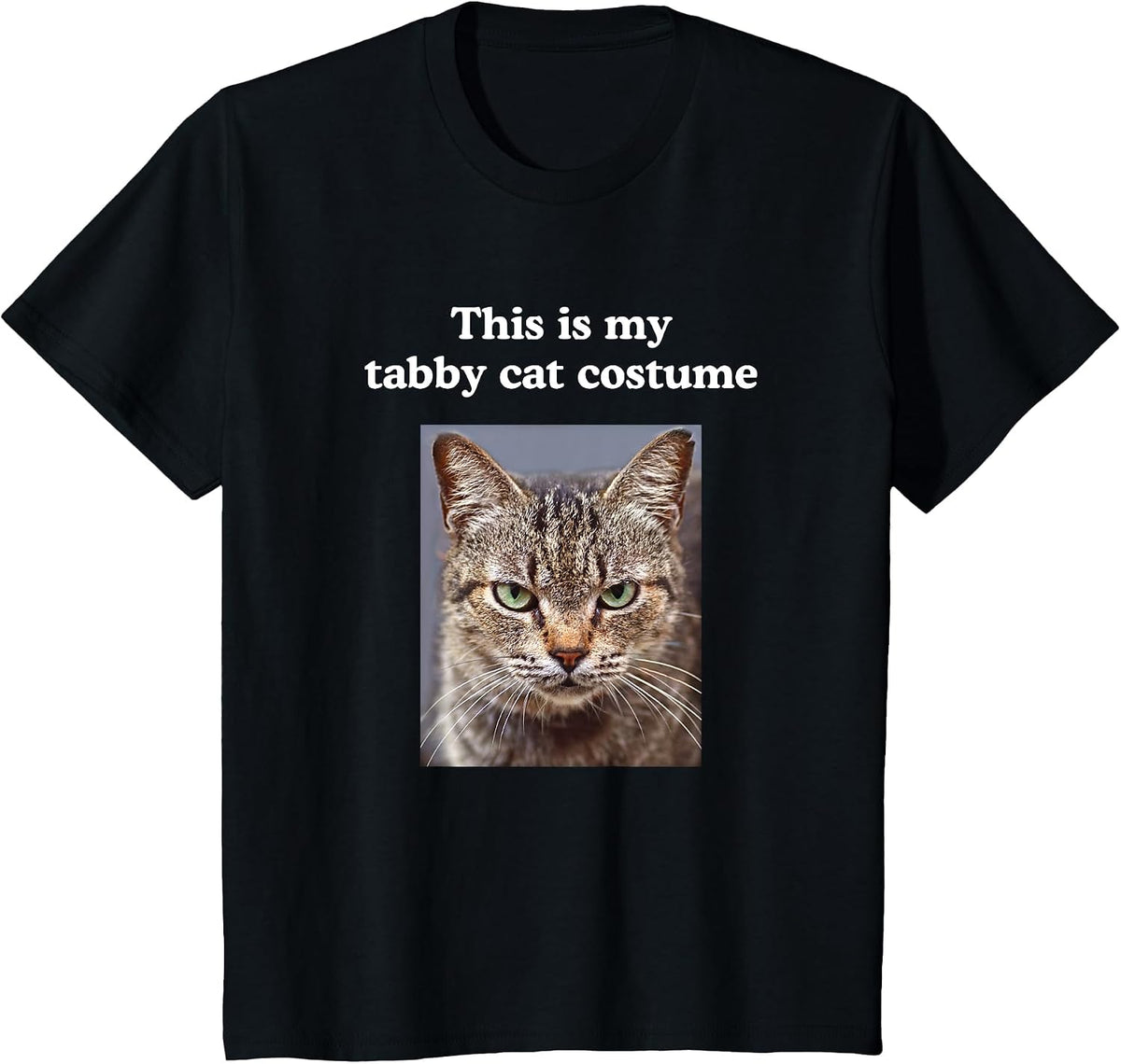 Halloween Funny This is My Tabby Cat Costume T-Shirt - Black