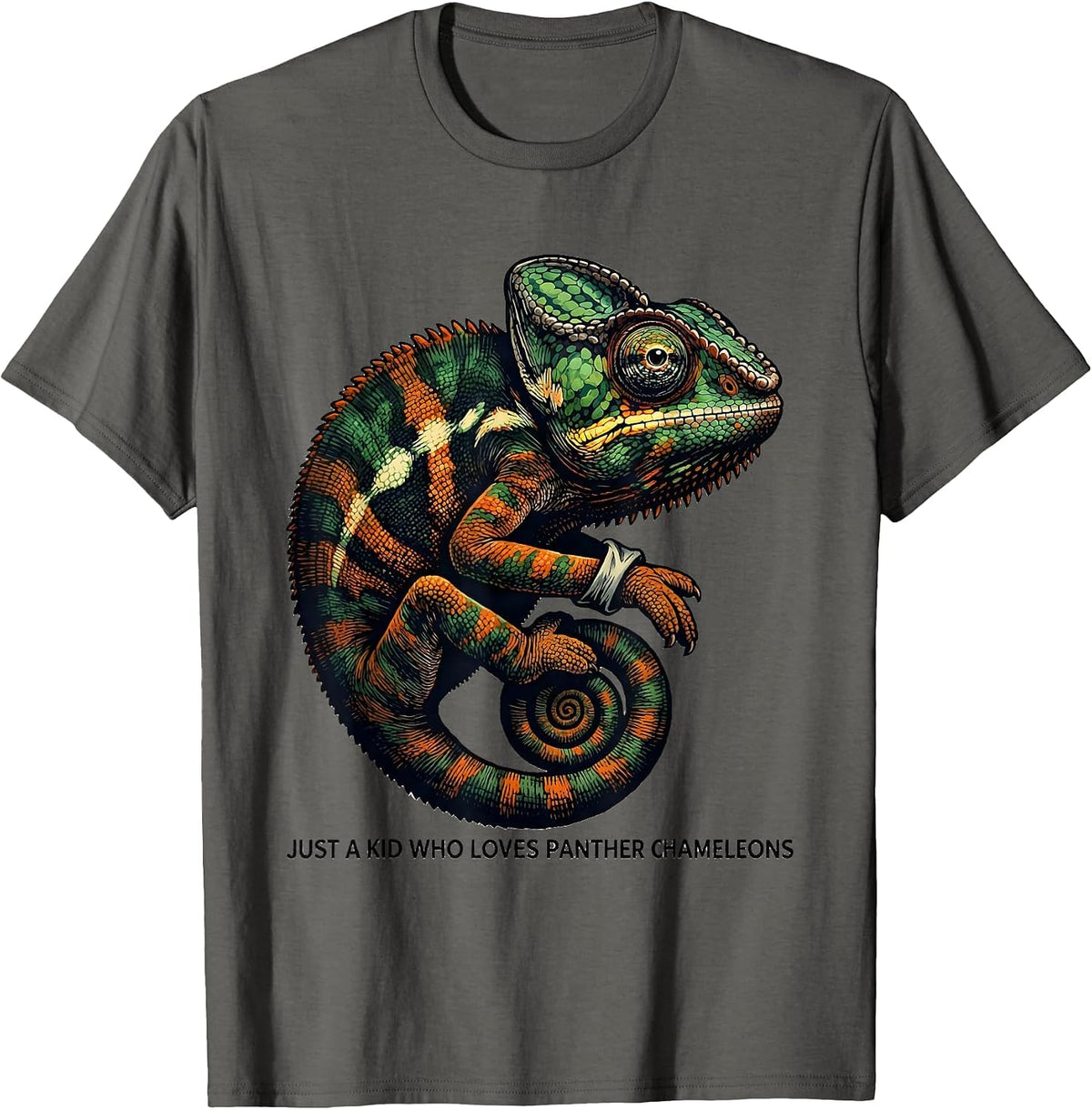 Just A Kid Who Loves Panther Chameleons Reptile Lover T-Shirt - Asphalt Grey