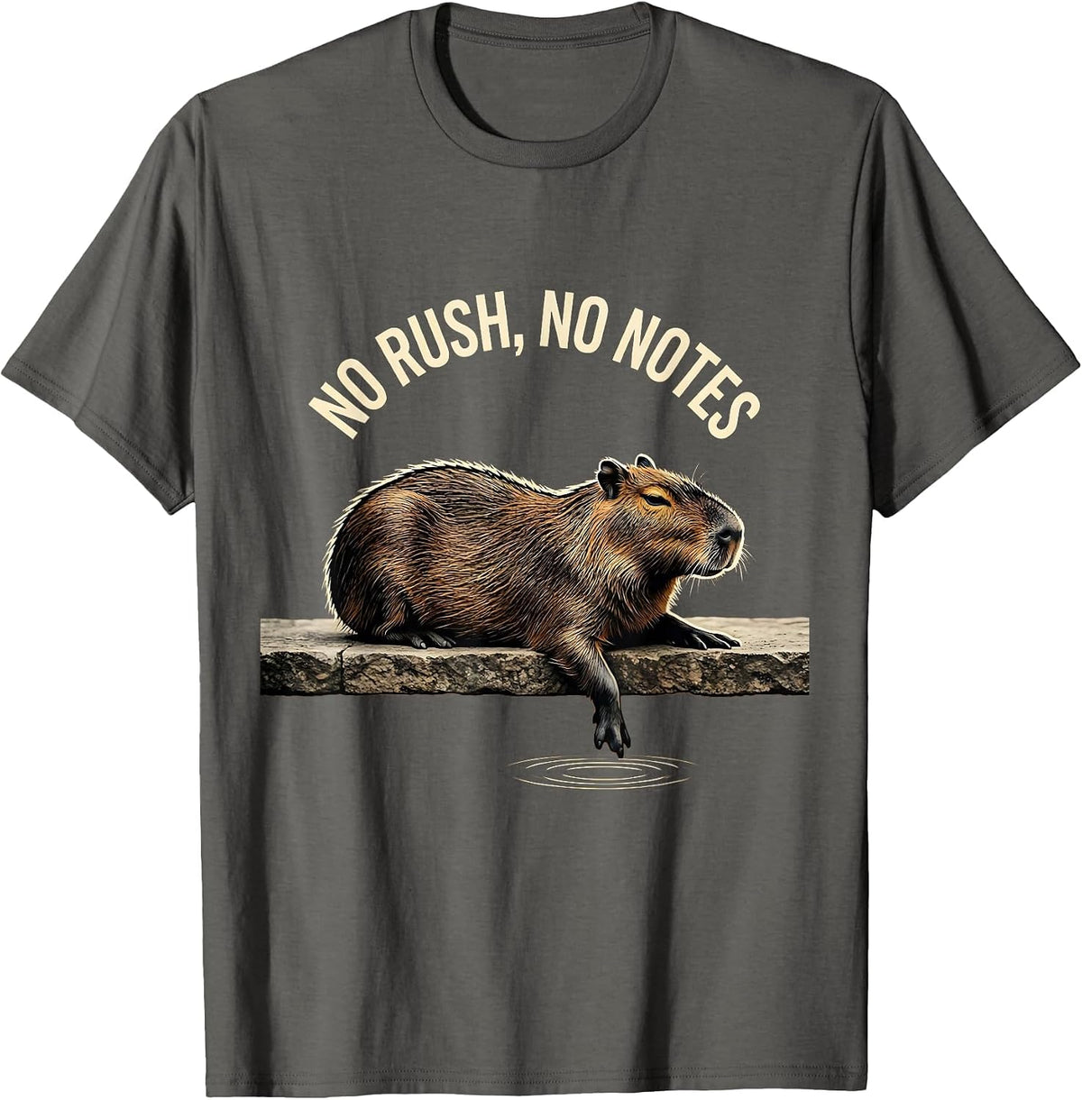 No Rush No Notes Funny Capybara Meme Animal Lover Humor T-Shirt - Asphalt Grey