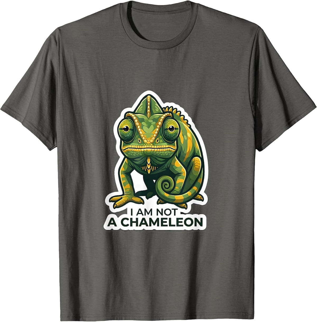 I Am Not A Chameleon Funny Reptile Lover Costume Pet Humor T-Shirt - Asphalt Grey