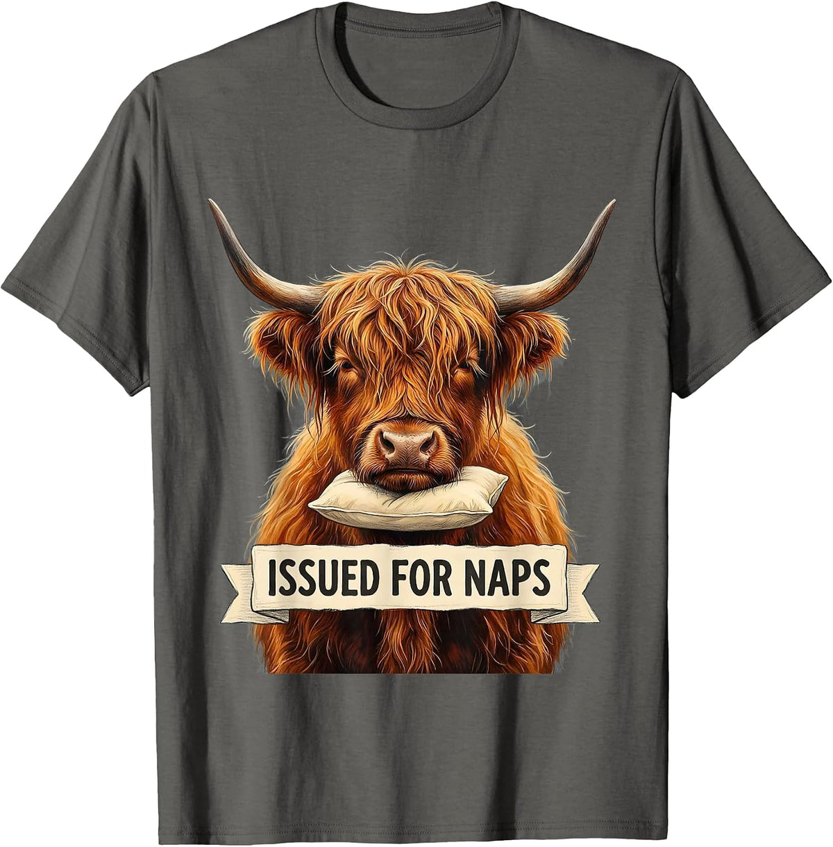 Issued For Naps Storybook Highland Cow Sleepshirt Attitude T-Shirt - Asphalt Grey