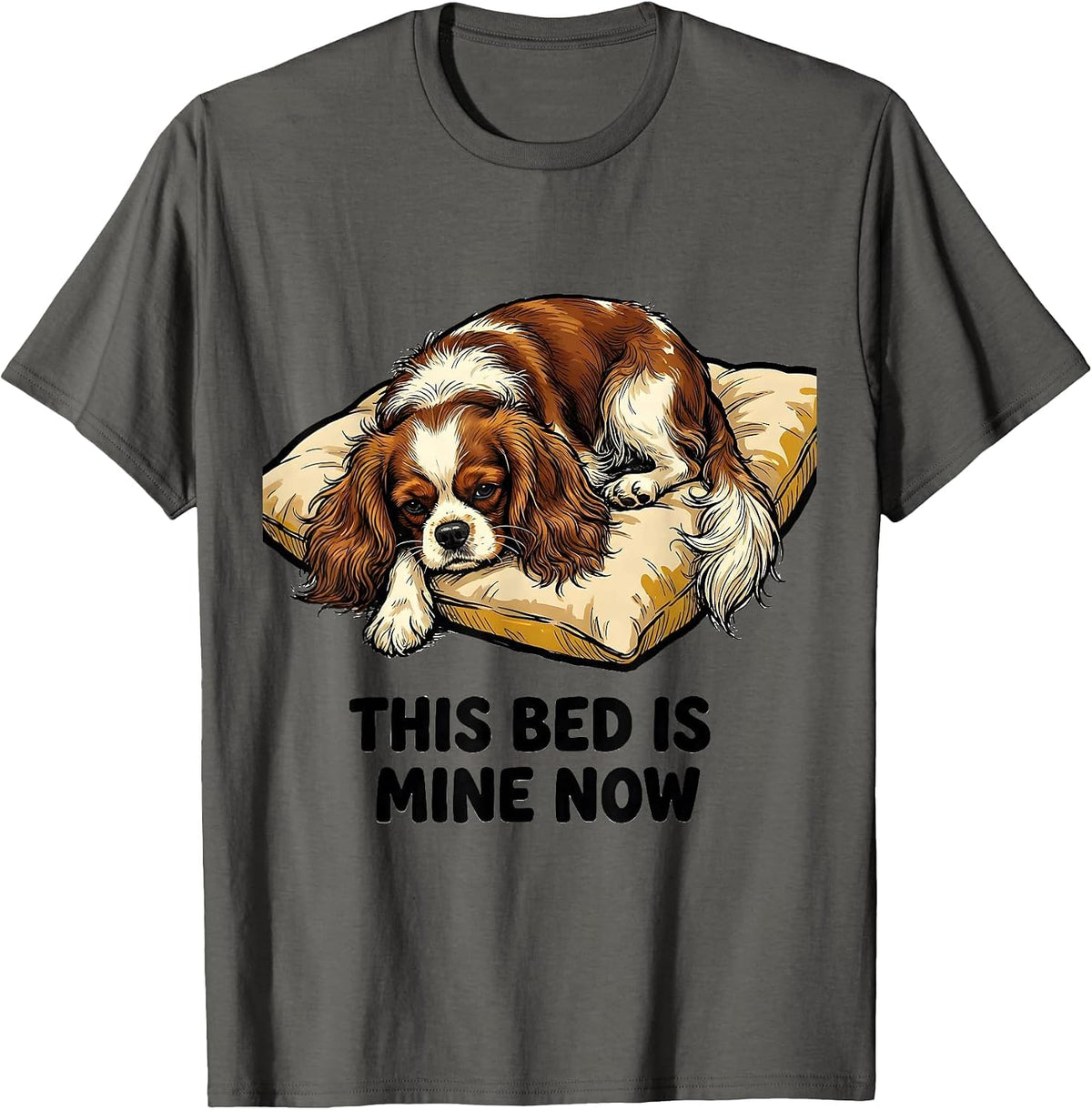Men's This Bed Is Mine Now Funny Cavalier King Charles Spaniel T-Shirt - Asphalt Grey