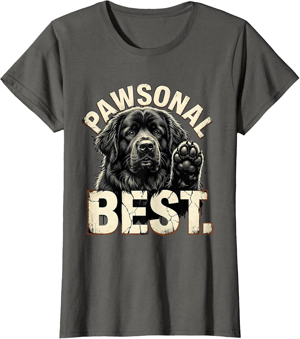 Women's Pawsonal Best Distressed Funny Dog Owner Internet Meme Humor T-Shirt - Asphalt Grey