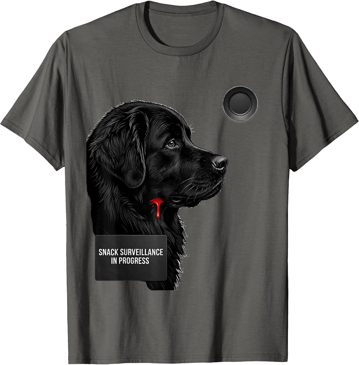 Snack Surveillance In Progress Funny Newfoundland Dog Jowls T-Shirt - Asphalt Grey