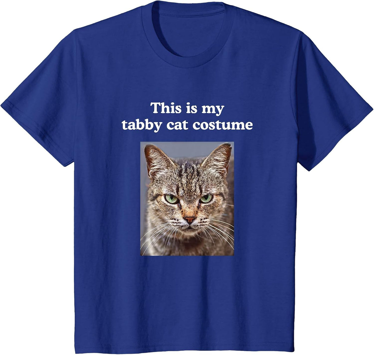 Halloween Funny This is My Tabby Cat Costume T-Shirt - Royal Blue