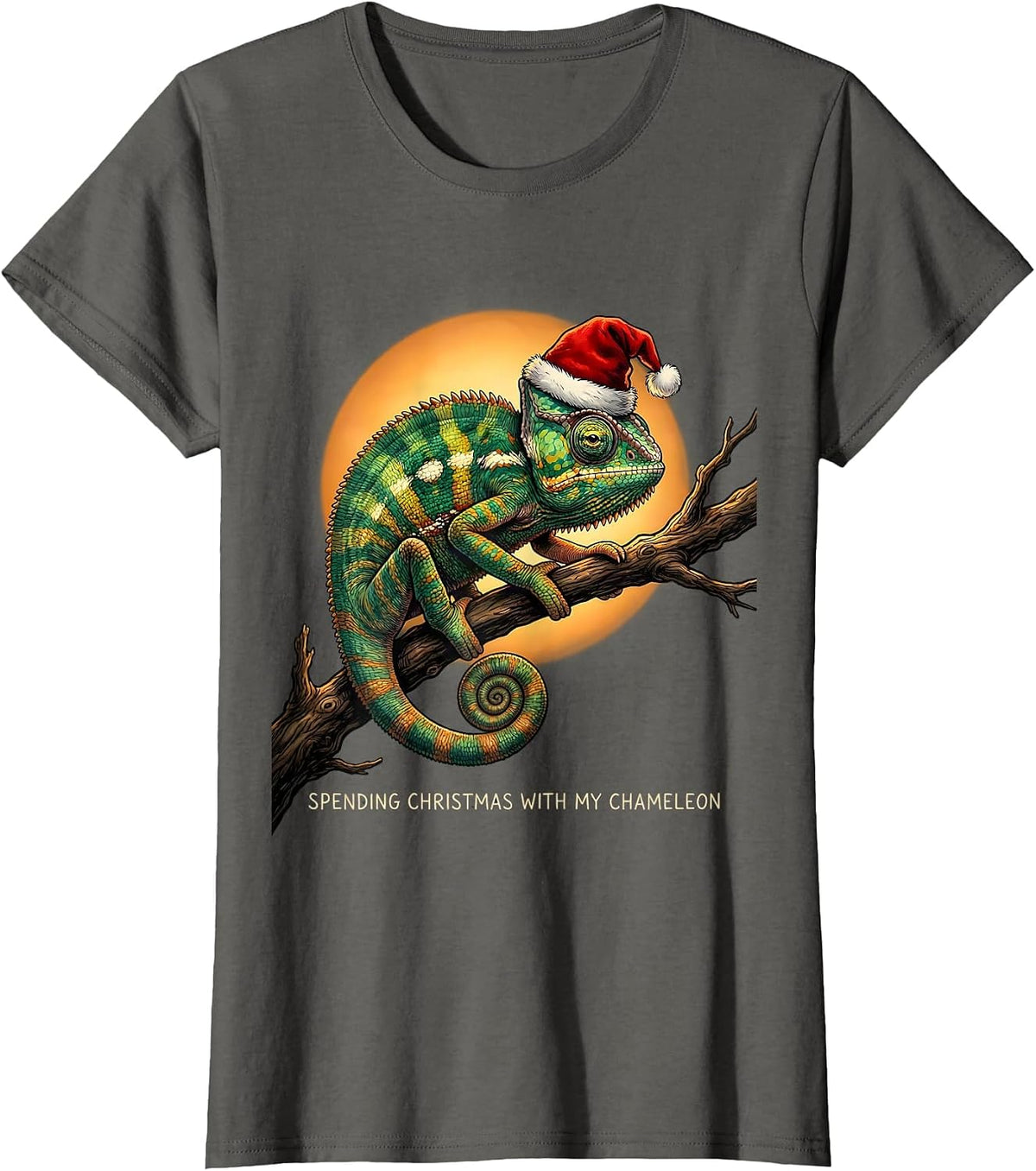 Women's Spending Christmas With My Chameleon Funny Dragon Santa T-Shirt - Asphalt Grey
