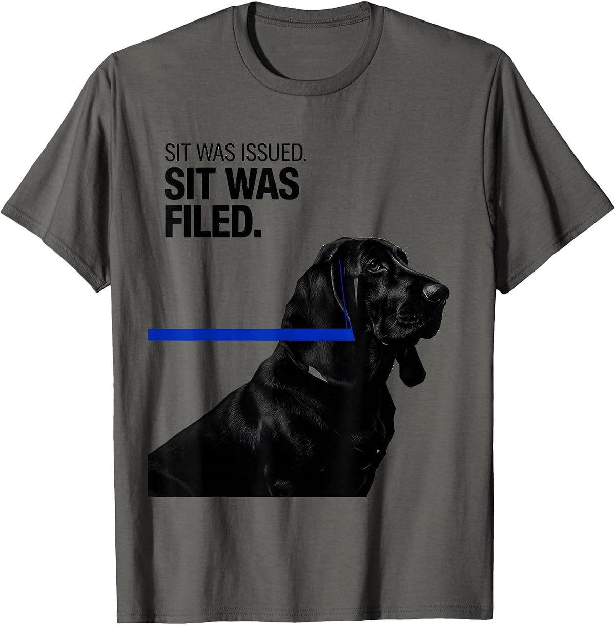Sit Was Issued Sit Was Filed Funny Basset Hound Dog Lover T-Shirt - Asphalt Grey