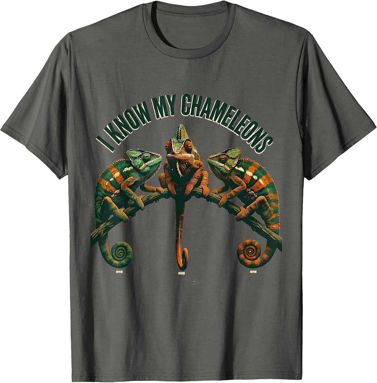 Men's I Know My Chameleons Funny Reptile Pet Lover Humor T-Shirt - Asphalt Grey