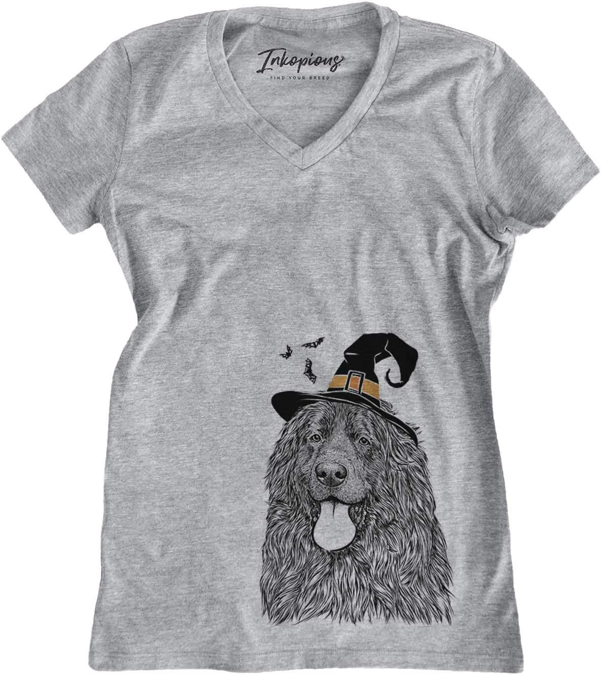 Inkopious Halloween Neptune the Newfoundland Dog Triblend T-Shirt - Grey V-neck