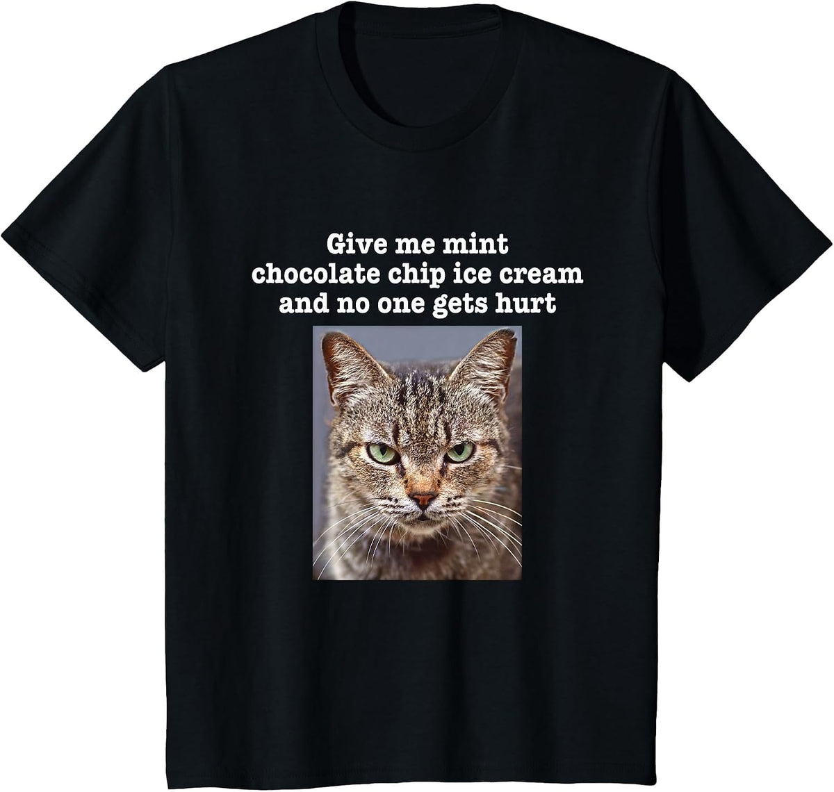 Funny Sarcastic Gray Tabby Cat Mint Chocolate Chip Ice Cream T-Shirt - Black