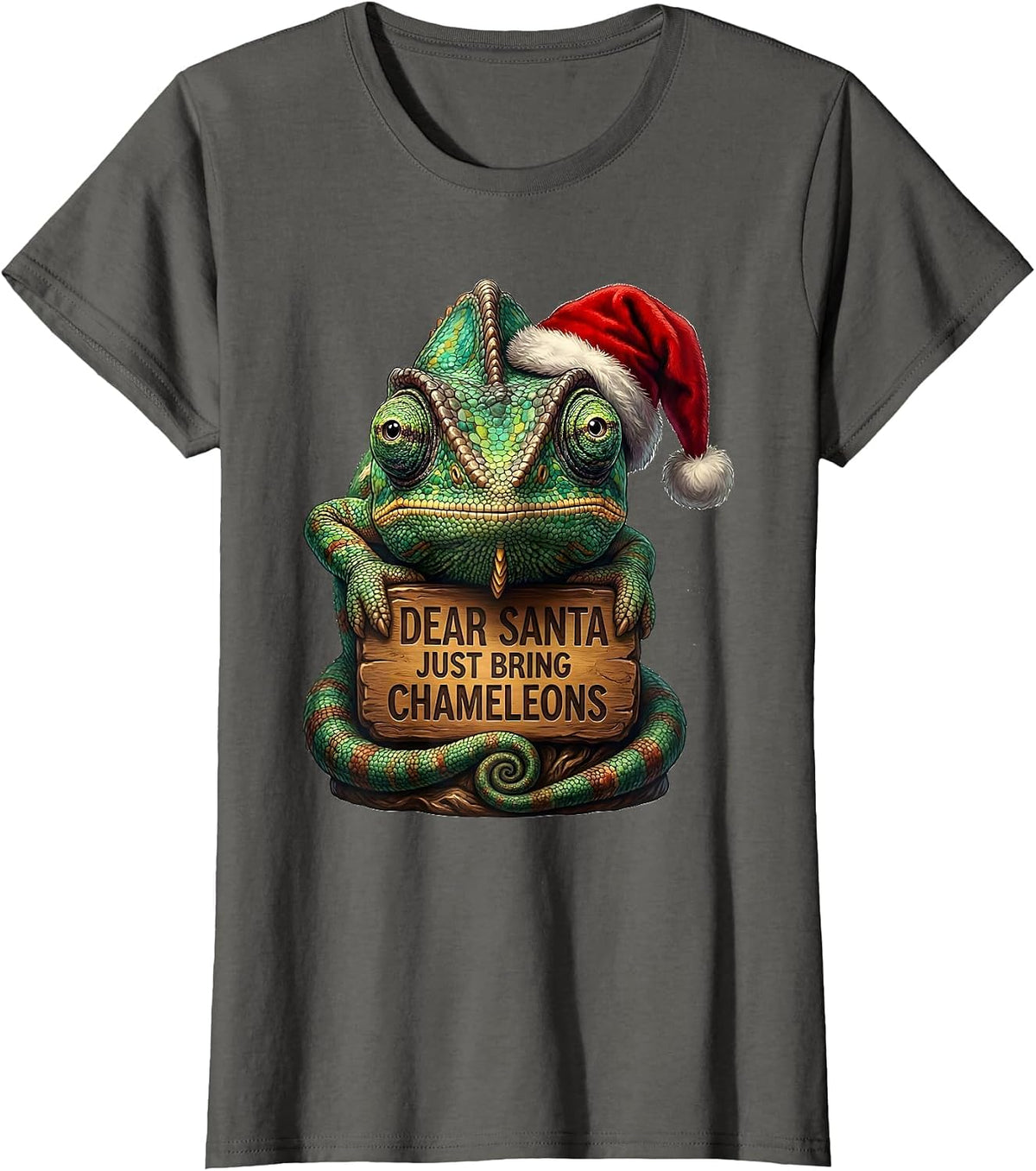Women's Dear Santa Just Bring Chameleons Funny Animal Lover T-Shirt - Asphalt Grey