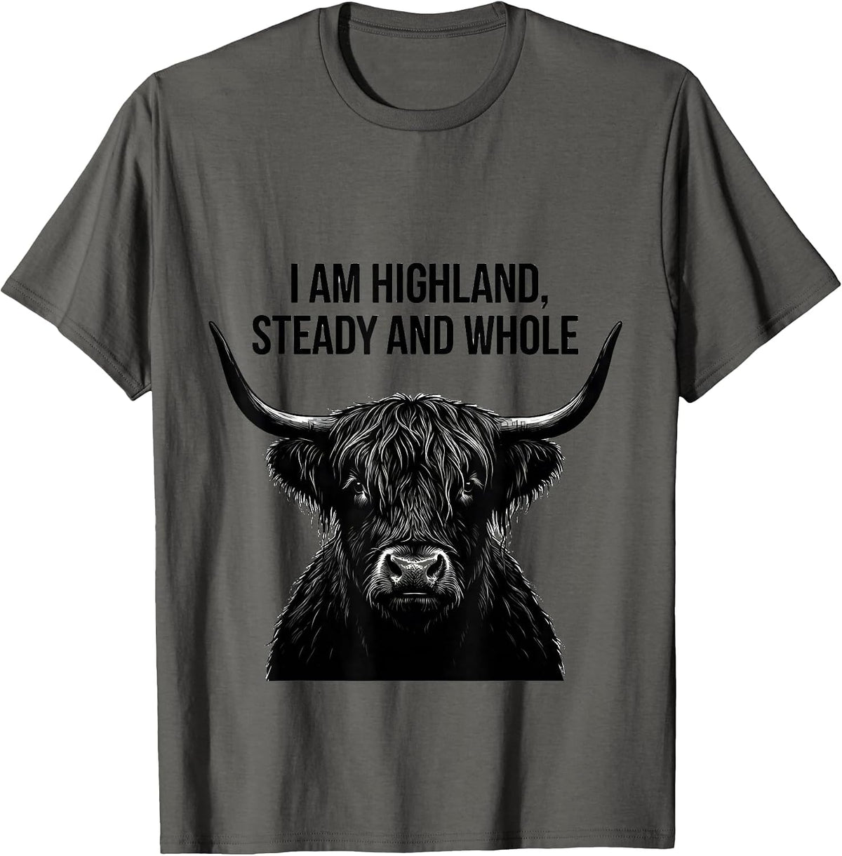 I Am Highland Steady And Whole Funny Highland Cow Faith T-Shirt - Asphalt Grey