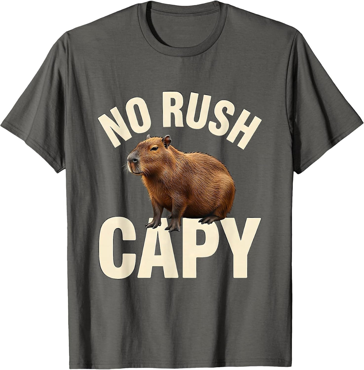 No Rush Capy Funny Capybara Animal Meme Gamer Humor T-Shirt - Asphalt Grey