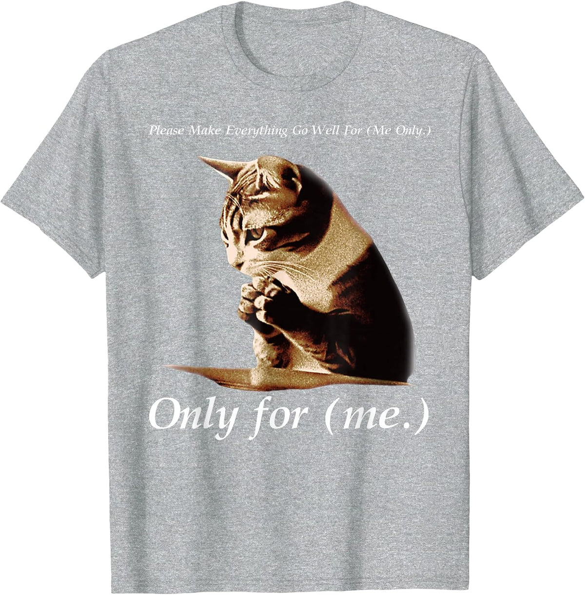 Funny Cat Please Make Everything Go Well for Me Only for Me T-Shirt - Heather Grey