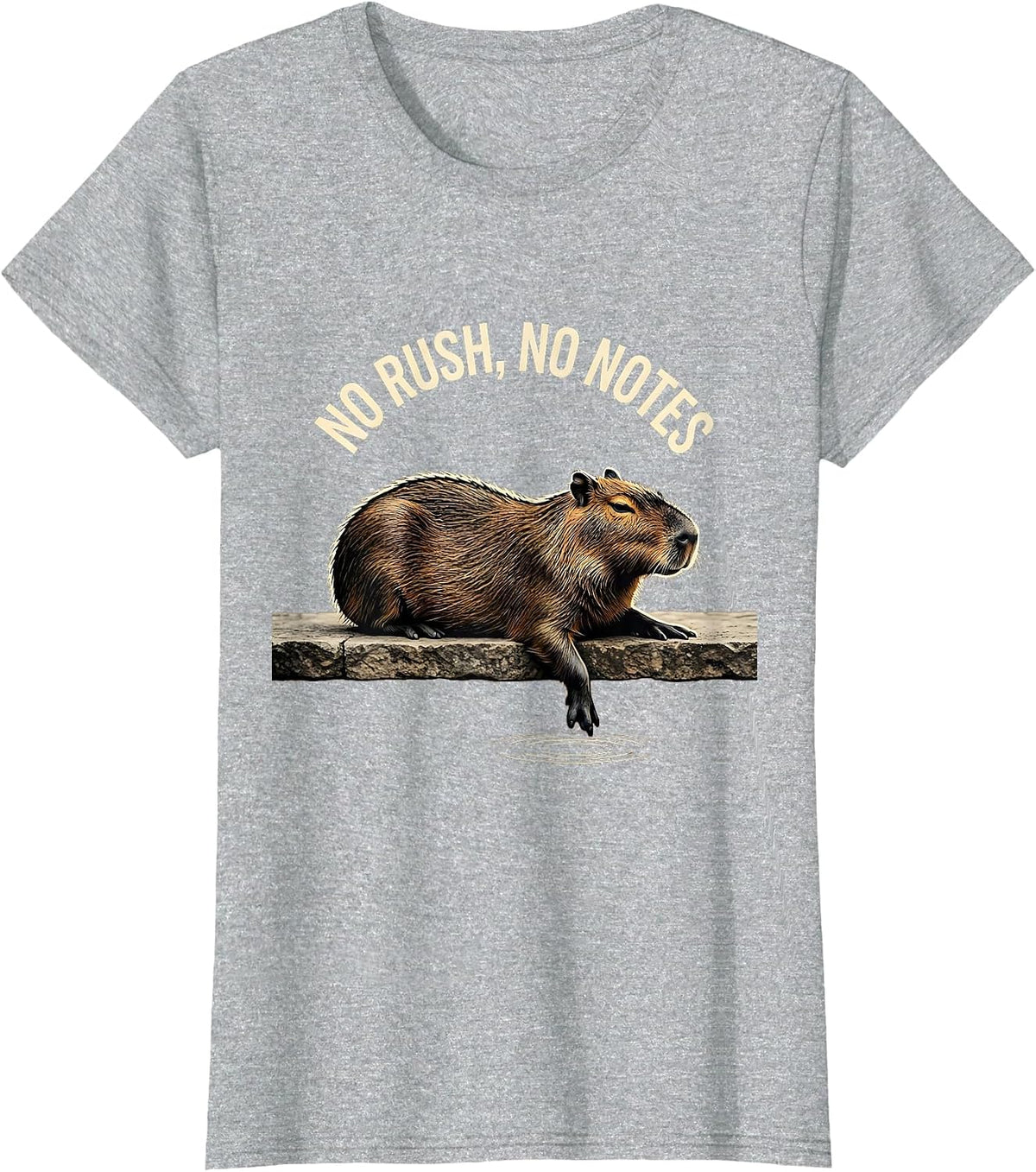 No Rush No Notes Funny Capybara Meme Animal Lover Humor T-Shirt - Heather Grey