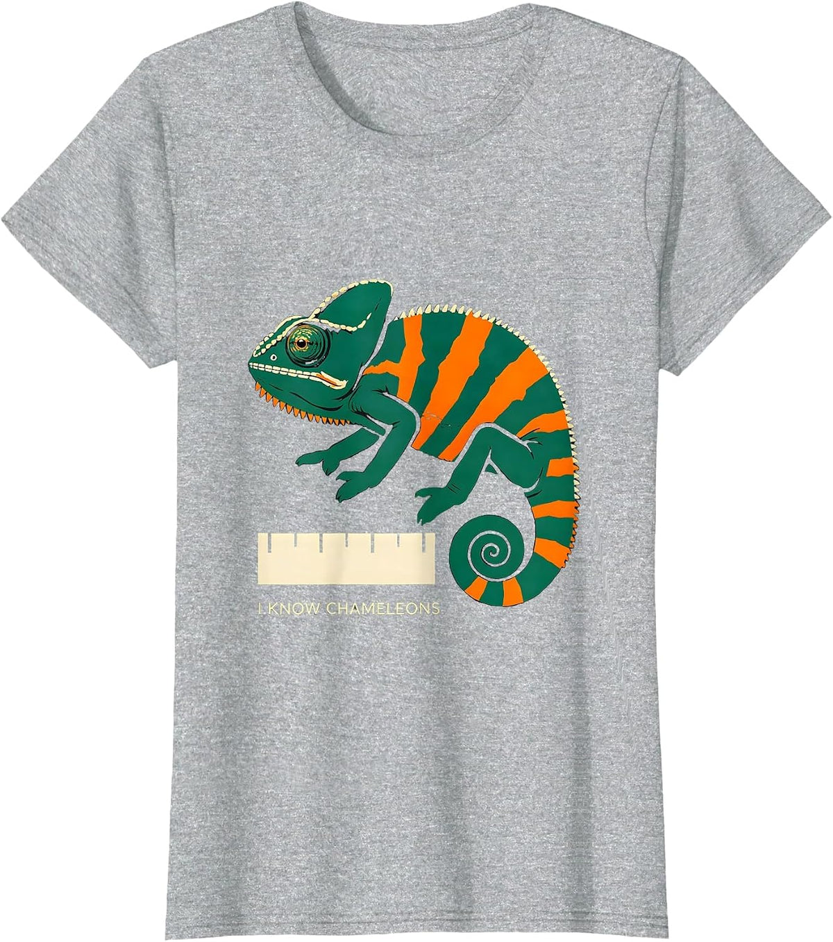 Women's I Know Chameleons Stencil Reptile Enthusiast Herpetology T-Shirt - Heather Grey