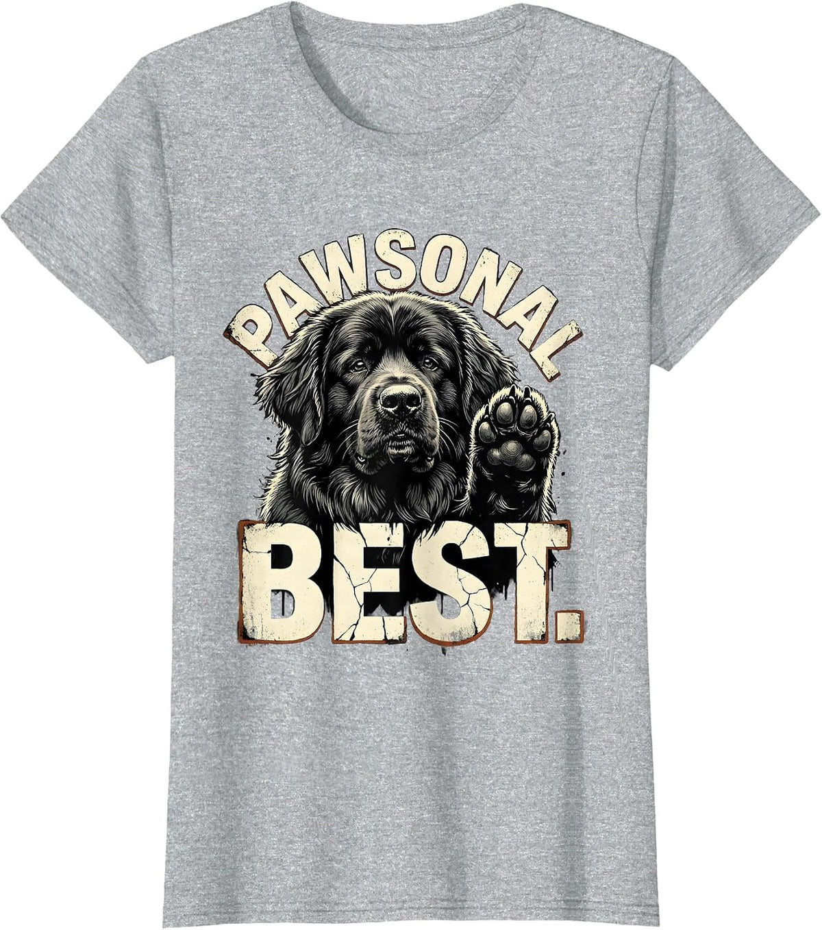 Women's Pawsonal Best Distressed Funny Dog Owner Internet Meme Humor T-Shirt - Heather Grey