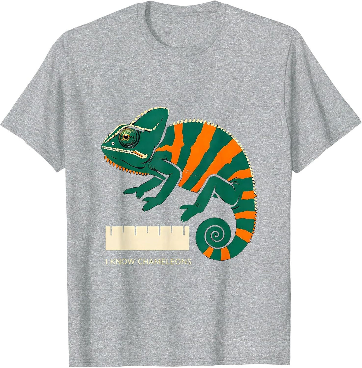Men's I Know Chameleons Stencil Reptile Enthusiast Herpetology T-Shirt - Heather Grey