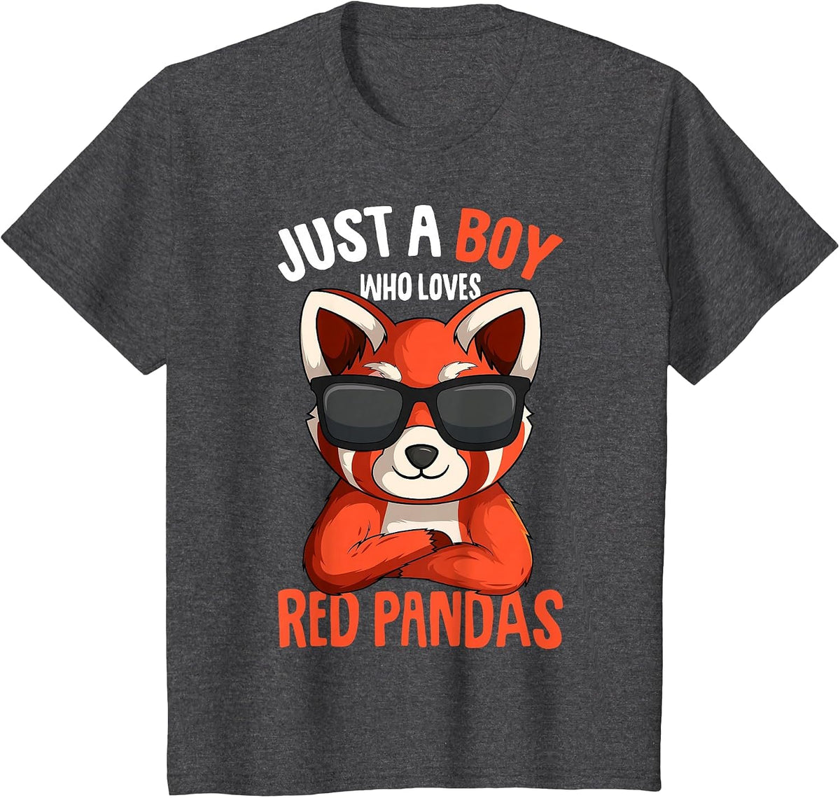 Just a Boy who Loves Red Pandas T-Shirt - Dark Heather Grey