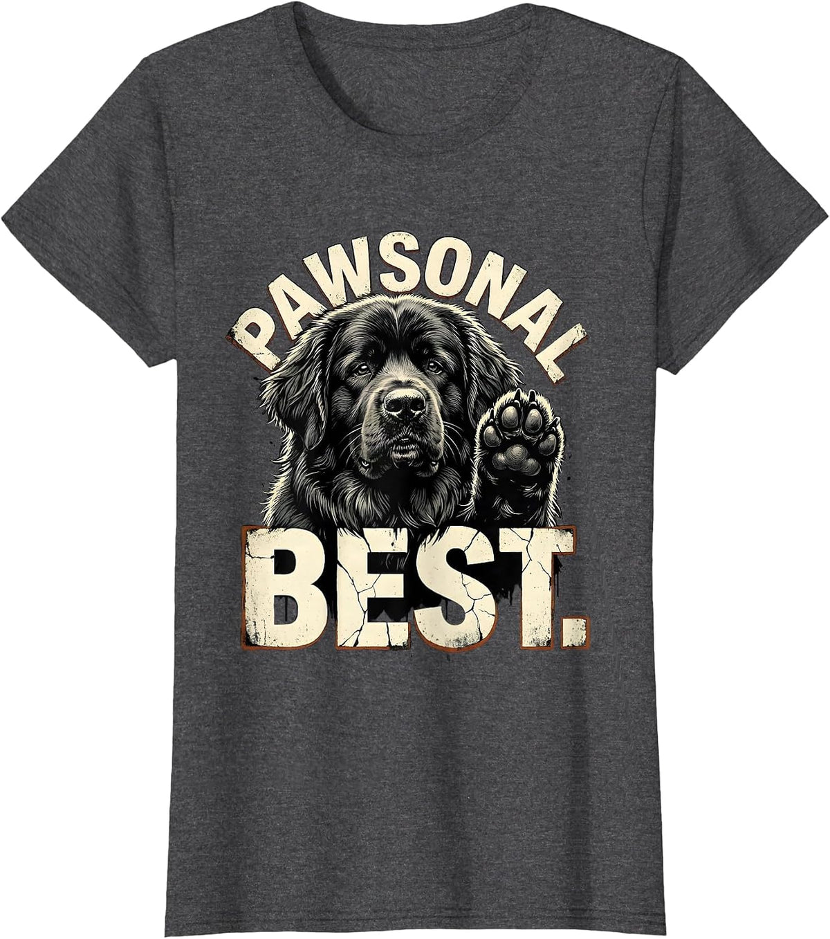 Women's Pawsonal Best Distressed Funny Dog Owner Internet Meme Humor T-Shirt - Dark Heather Grey