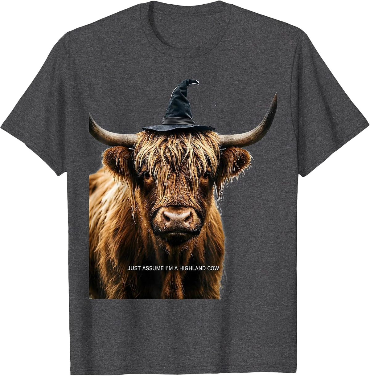 Just Assume I'm A Highland Cow Funny Highland Cow Lover T-Shirt - Dark Heather Grey