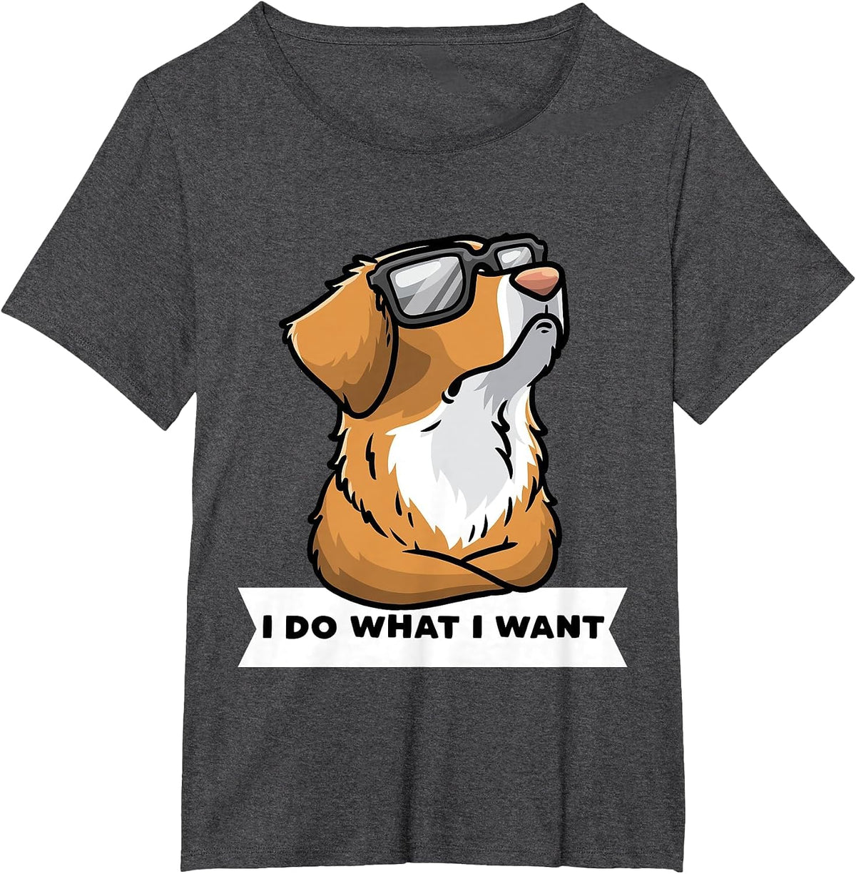 Nova Scotia Duck Tolling Retriever Dog with Sunglasses T-Shirt - Dark Heather Grey