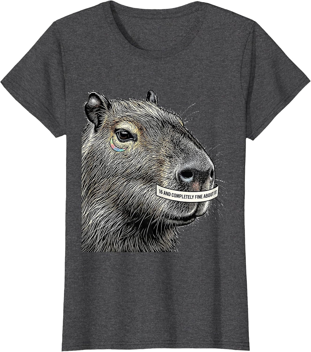 Women's 16 And Completely Fine About It Funny Capybara Birthday Meme T-Shirt - Dark Heather Grey