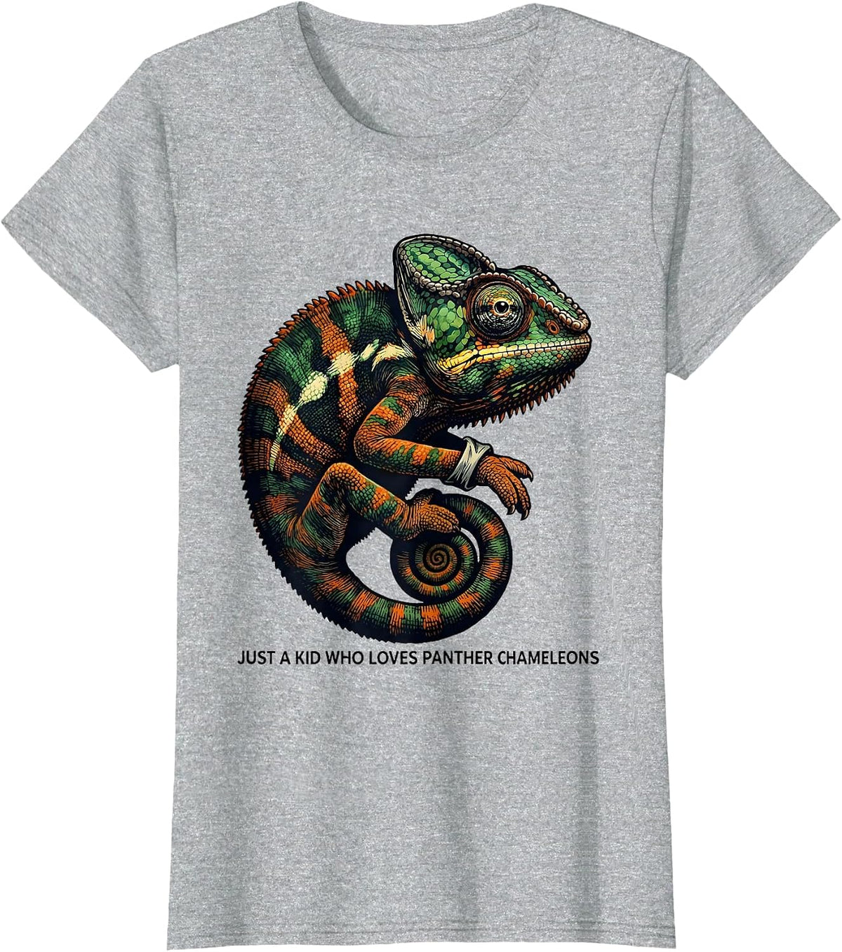 Just A Kid Who Loves Panther Chameleons Reptile Lover T-Shirt - Heather Grey