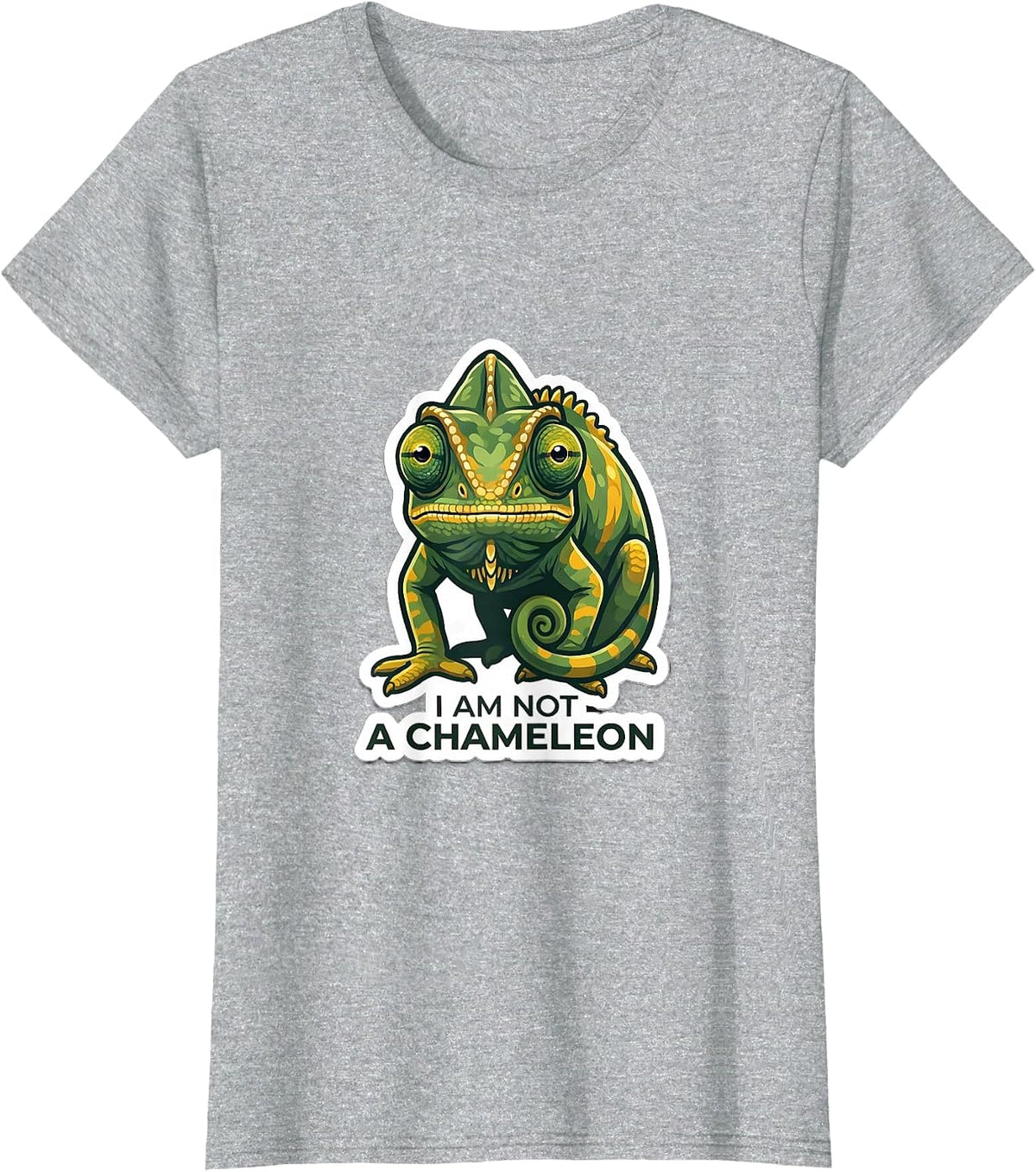 I Am Not A Chameleon Funny Reptile Lover Costume Pet Humor T-Shirt - Heather Grey