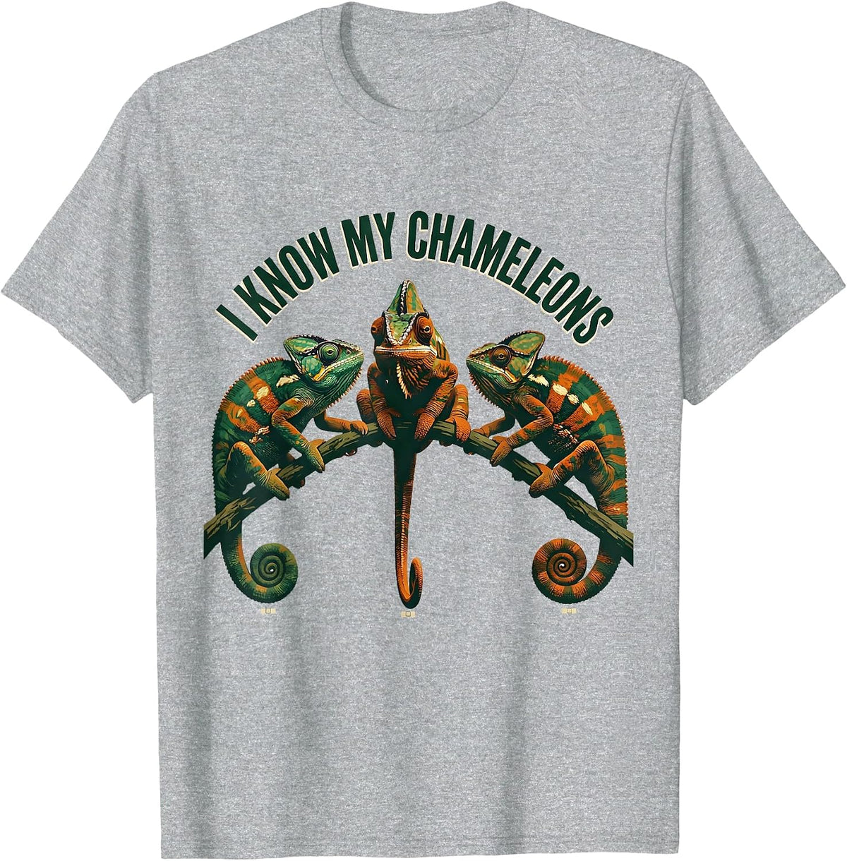 Men's I Know My Chameleons Funny Reptile Pet Lover Humor T-Shirt - Heather Grey