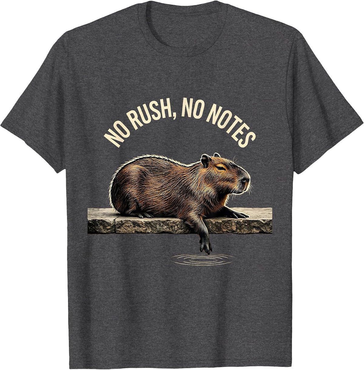 No Rush No Notes Funny Capybara Meme Animal Lover Humor T-Shirt - Dark Heather Grey