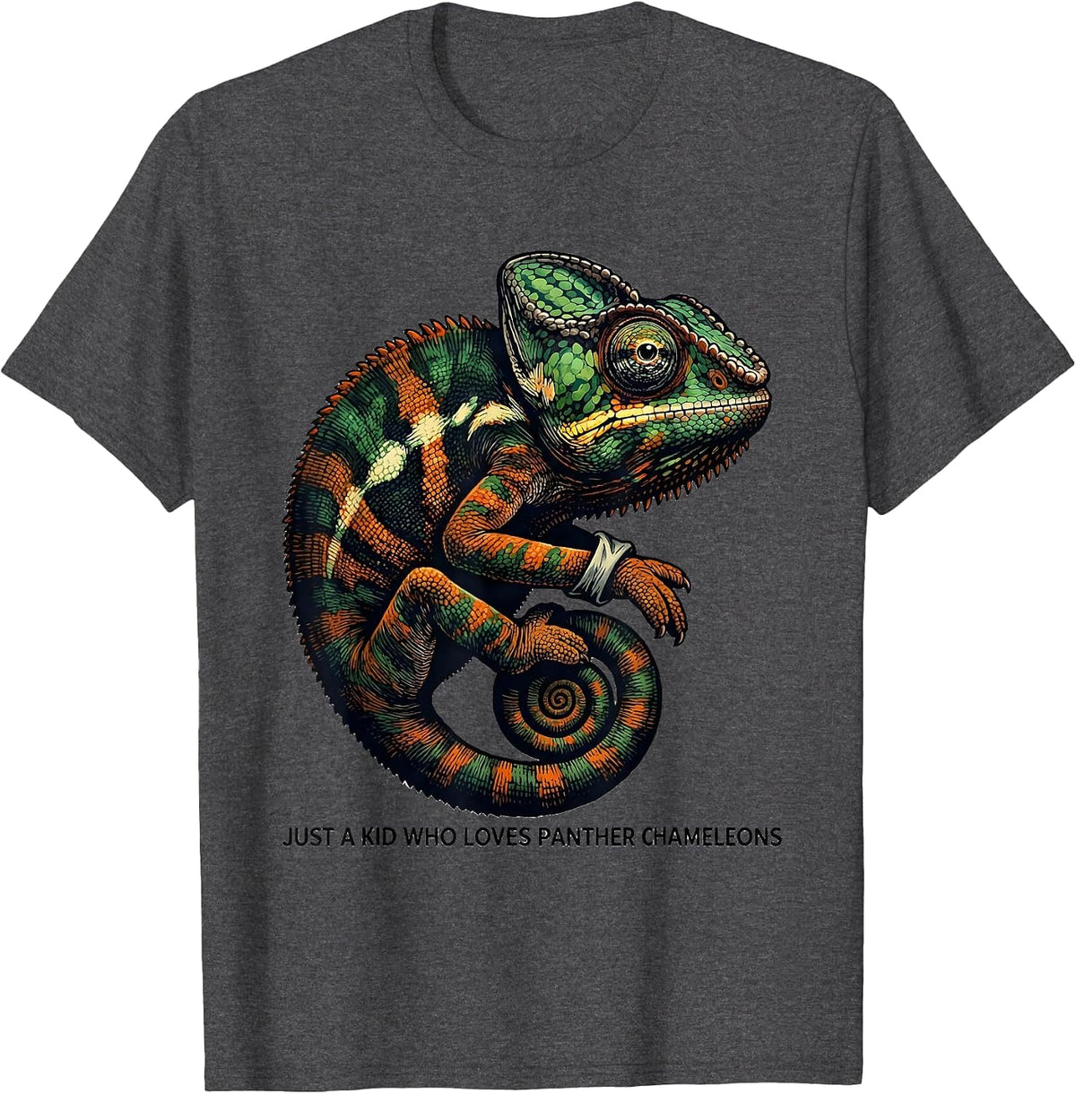 Just A Kid Who Loves Panther Chameleons Reptile Lover T-Shirt - Dark Heather Grey