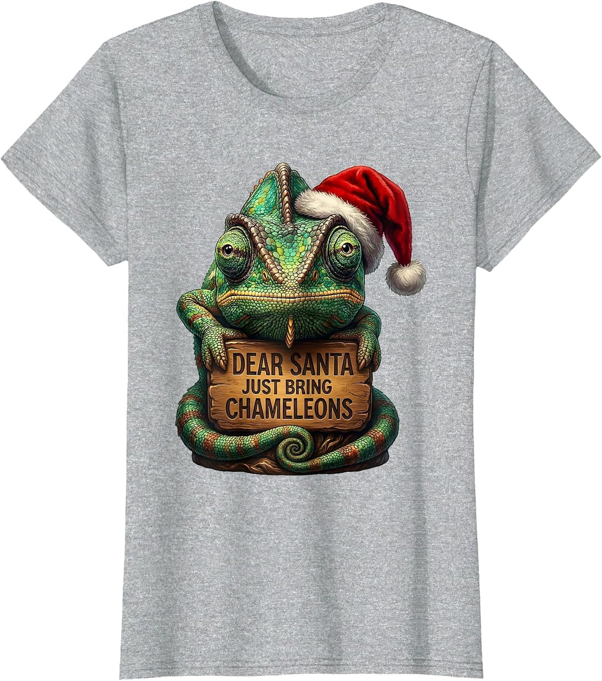 Women's Dear Santa Just Bring Chameleons Funny Animal Lover T-Shirt - Heather Grey