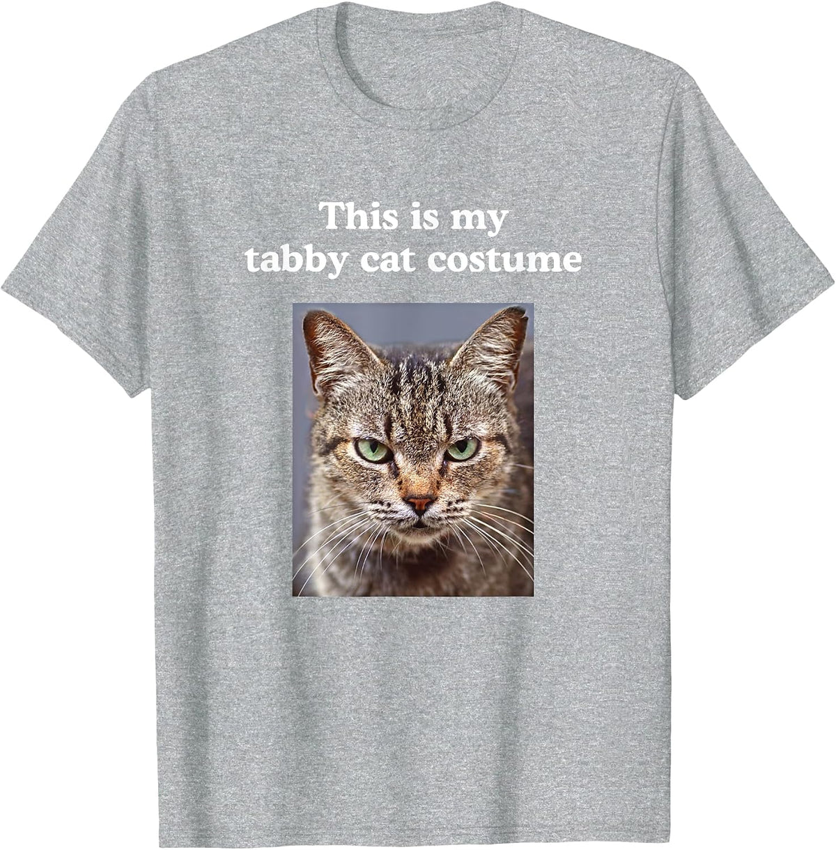 Halloween Funny This is My Tabby Cat Costume T-Shirt - Heather Grey