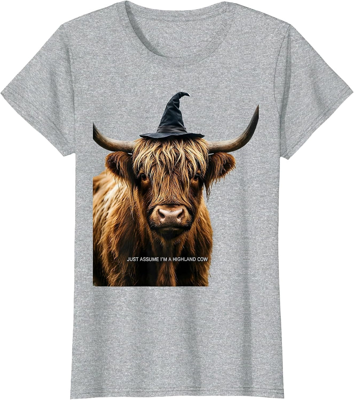 Just Assume I'm A Highland Cow Funny Highland Cow Lover T-Shirt - Heather Grey