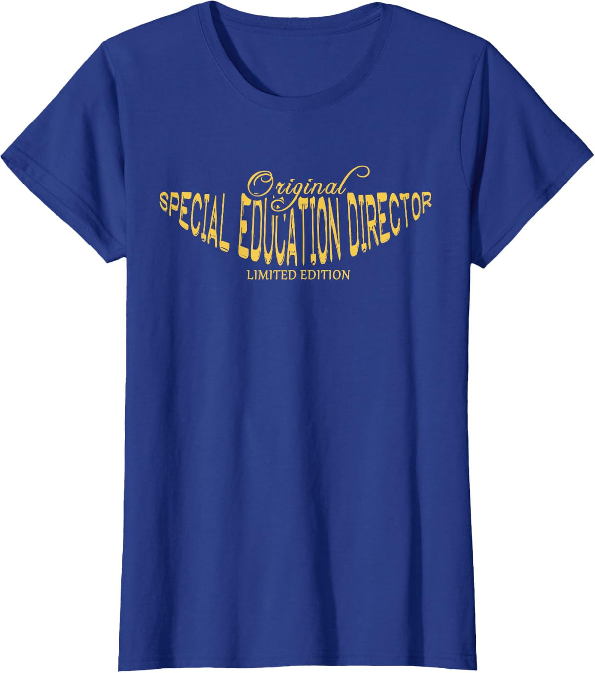 Funny Job Title Worker Funny Special Education Director T-Shirt - Royal Blue