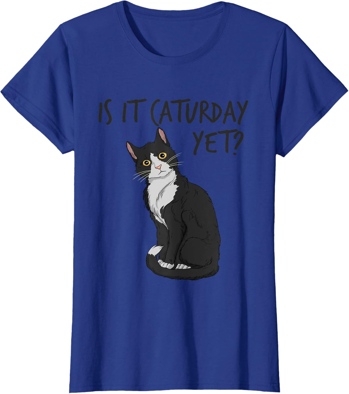 Is It Caturday Yet Funny Cat Lover Pet Cat Mom Caturday T-Shirt - Royal Blue